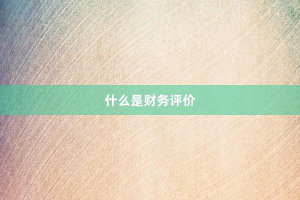 什么是财务评价